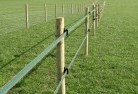 Rosnyelectric-fencing-4.jpg; ?>